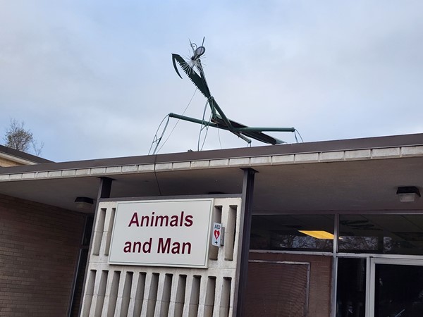 Statue and entrance to the insect area at the Topeka Zoo