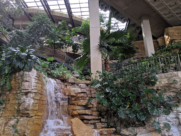 Inside the Westin Crown Center is a tropical waterfall.  It's open to the public