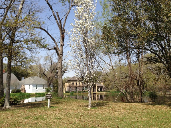 Spring at Fair Oak Estates in Baton Rouge