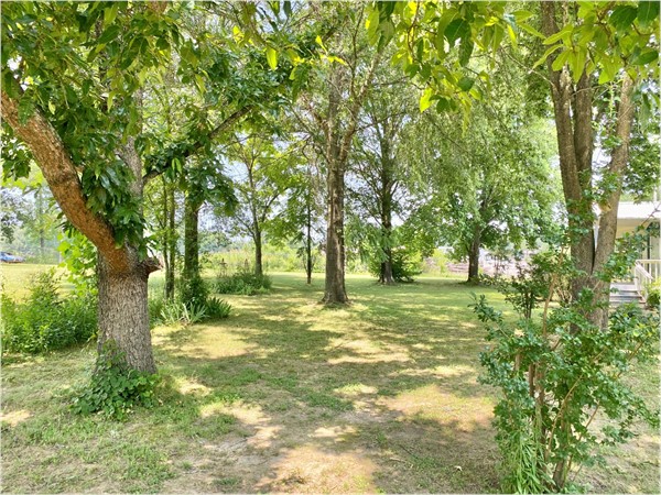 A park-like setting at this property located between Searcy and Pangburn, Arkansas