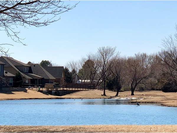 Beautiful March day at the private pond in Coffee Creek 