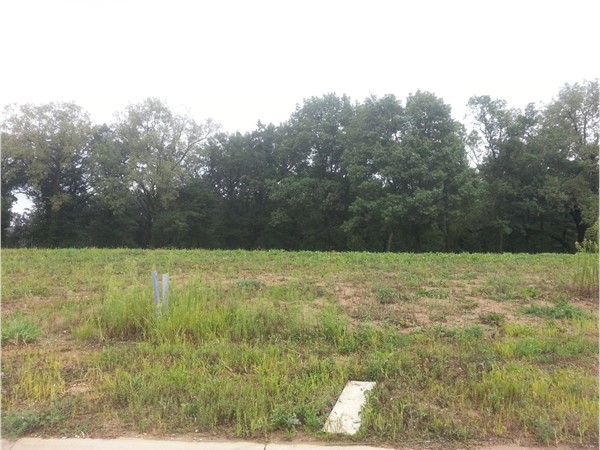 Kelly Oaks Subdivision has beautiful large lots ready to build your new home on