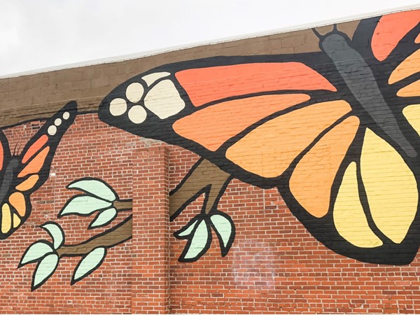 Beautiful butterfly mural in downtown Fort Smith 