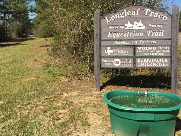 Water trough for equestrian trail at Longleaf Trace