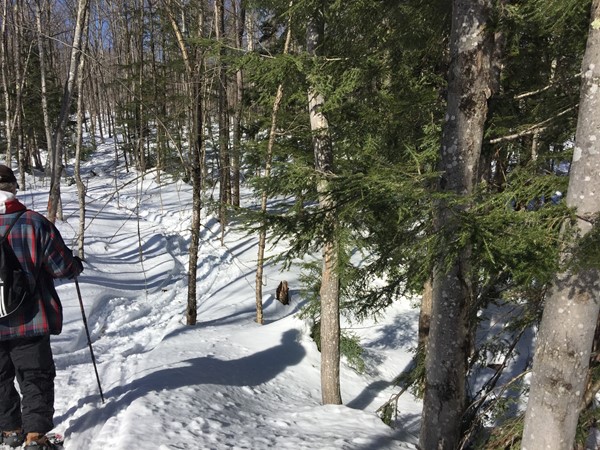 Sunny day snowshoeing in the woods. Blaze your own trail