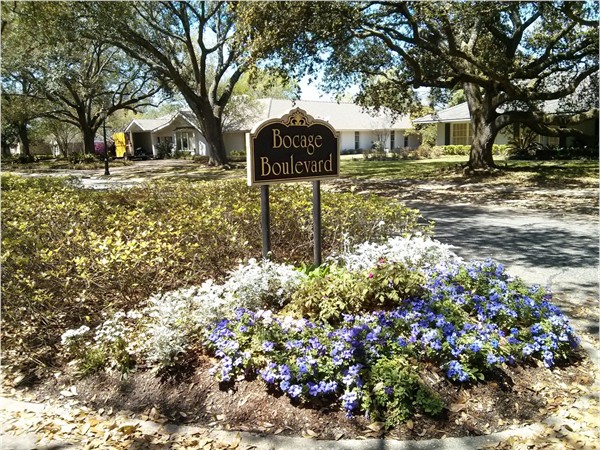 Beautiful spring day in Bocage!