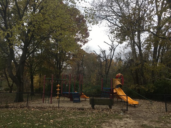One of many amenities of the Brooktree neighborhood; a playground where kids can safely play