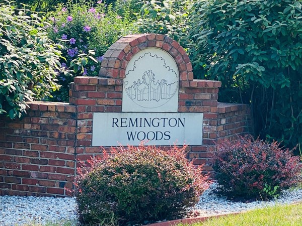 Welcome to Remington Woods 
