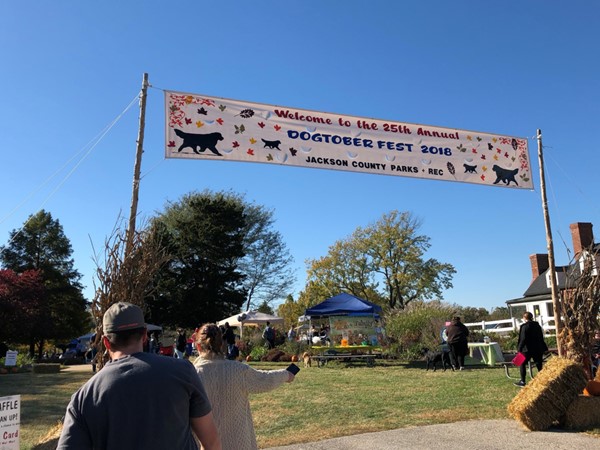 Dogtoberfest includes games, booths, and exhibitions for our canine friends