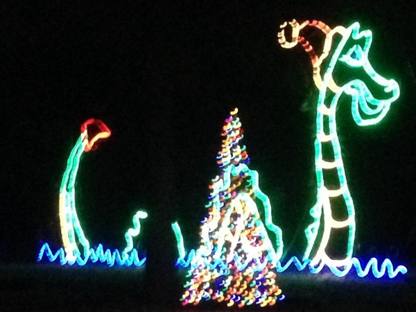 Longview Lake Park puts on a fantastic light display
