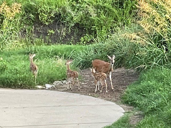 Throwback mama and her kids checking out the neighborhood