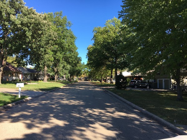 Established lawns and tree-lined residential streets