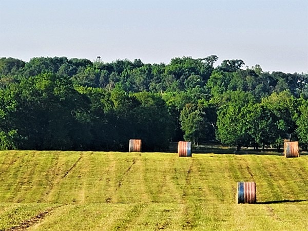 Patriotic hay rolls make an awesome statement during these unprecedented times 