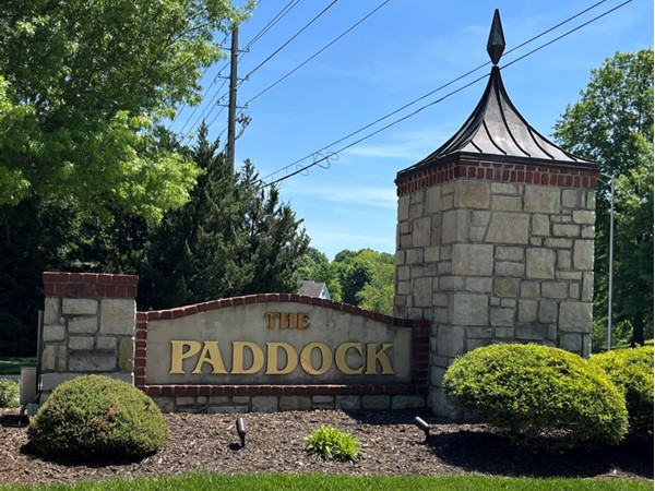 Beautiful custom homes in a wonderful neighborhood!!