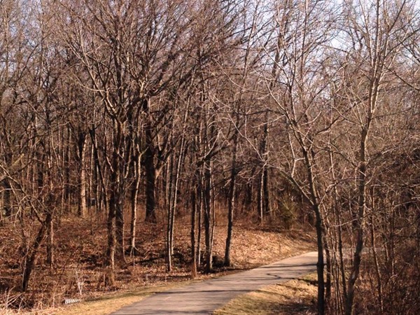 Walking trail in Forest Creek Estates. Part of the Indian Creek trail system