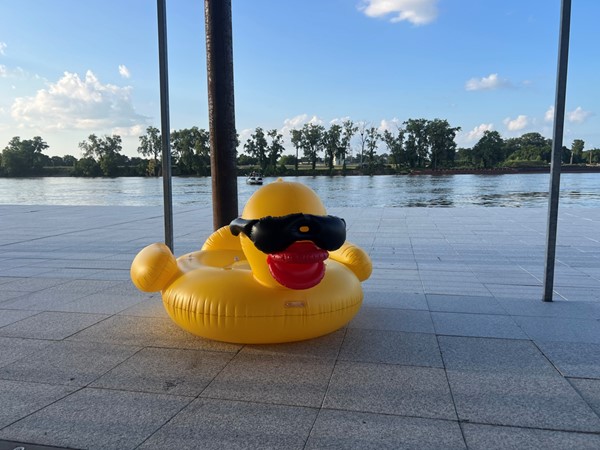 Find fun for everyone at Rock City Yacht Club