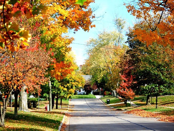 Rockford has beautiful colors in the fall 