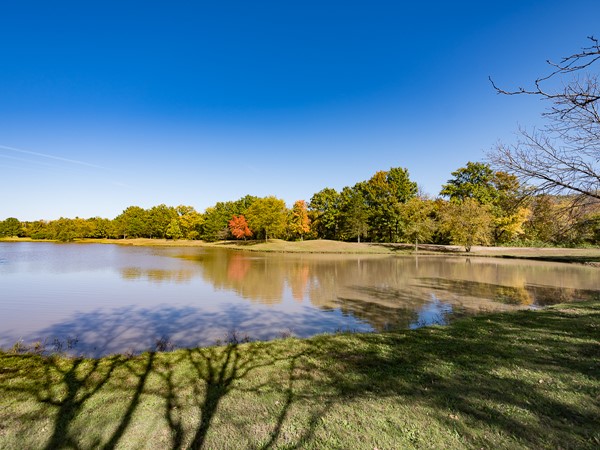 Fall at Tomahawk Park in Leawood 