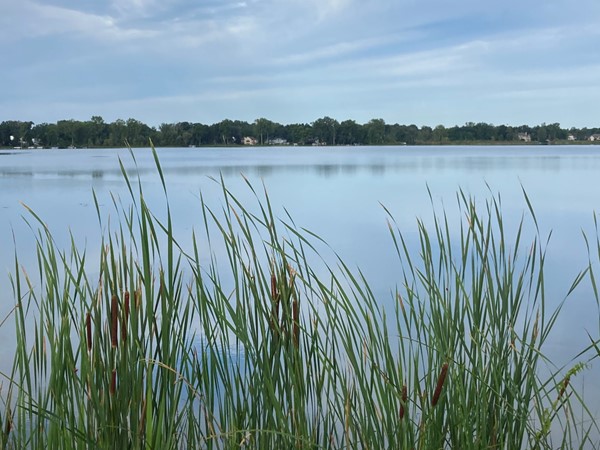 Lake life! Find your lake home on Loon Lake, Lake Fenton Schools 