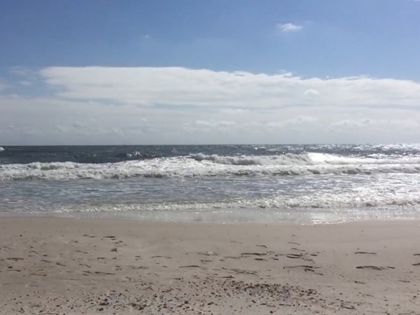 A little chilly, but a beautiful day for a walk on the beaches of Gulf Shores 