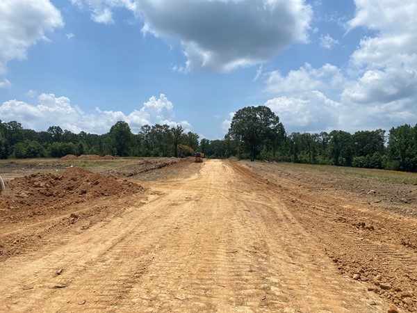 New subdivision in Saline County with 1+ acre lots