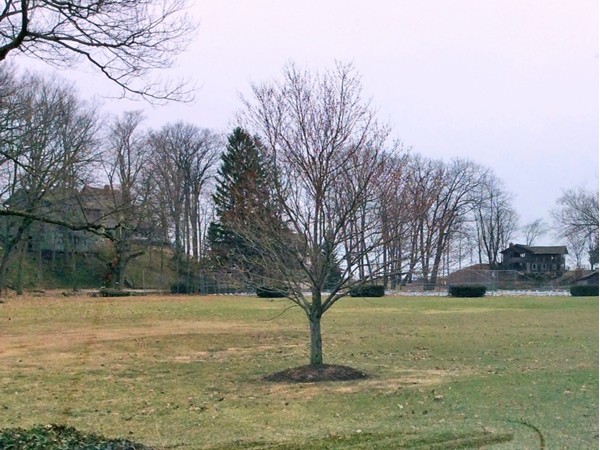 Castle Park is a private community of summer houses along a 40 acre tract on Lake Michigan 