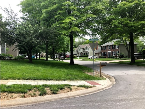 The beautiful and green neighborhood of Briarwood
