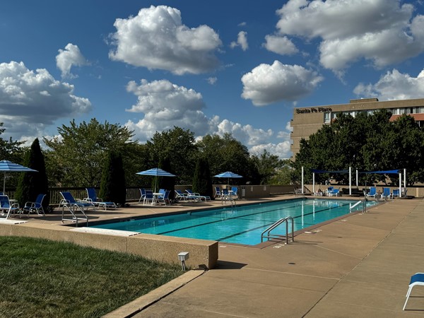 Olympic size salt water pool