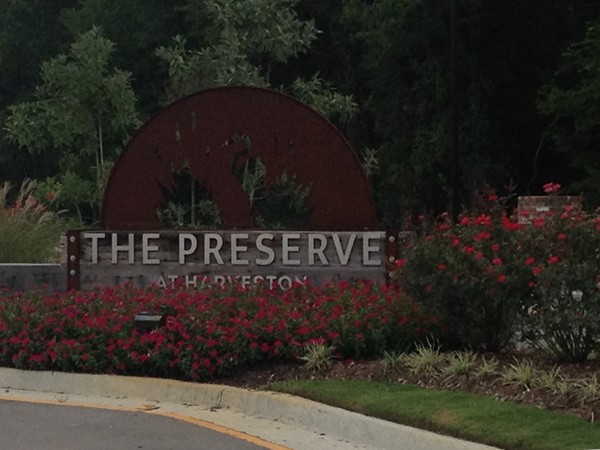 Spectacular new construction at the Preserve at Harveston