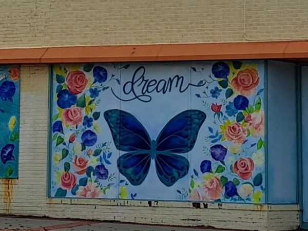 Lovely art along the buildings in the Englewood Arts District
