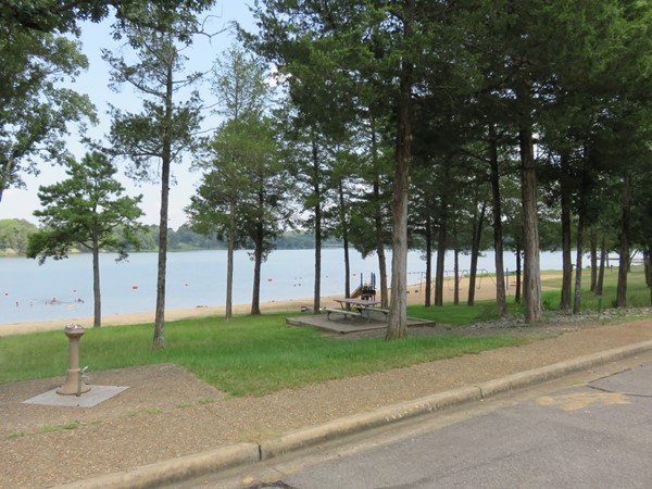Swimming area of Piney Bay