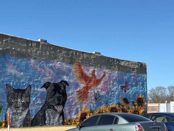 Check out this beautiful painting on the side of one of our buildings downtown 