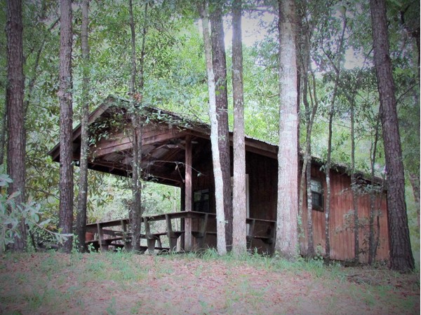 Hilltop cabin overlooking the Bogue Chitto River