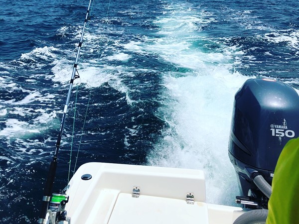 Blue waters and game fish are only a short boat ride heading south from the Gulf Coast
