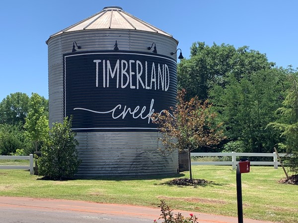 Welcome to Timberland Creek 