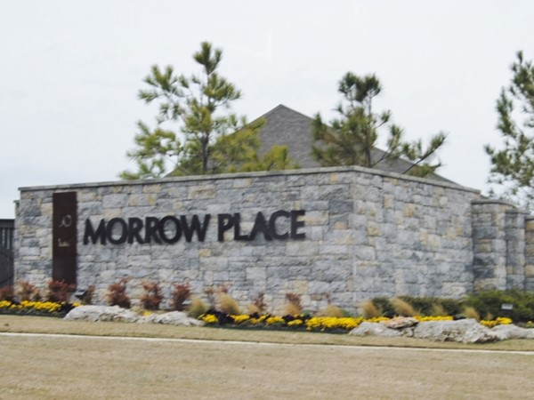With so many floor plans available, you're going to love your new home in Morrow Place