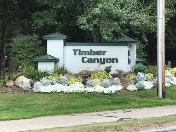 Welcome to Timber Canyon