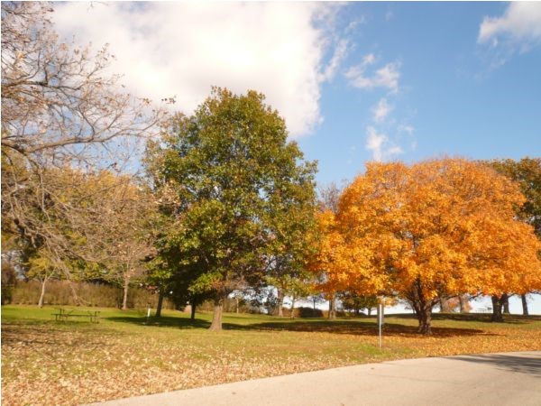 Fall colors at Thomas Mitchell Park