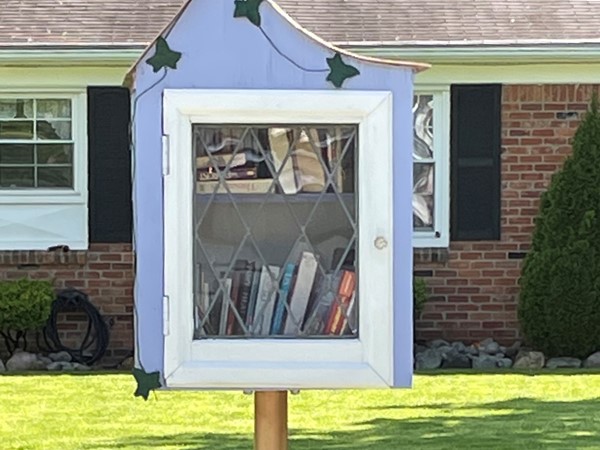 What an adorable little free library located within the subdivision