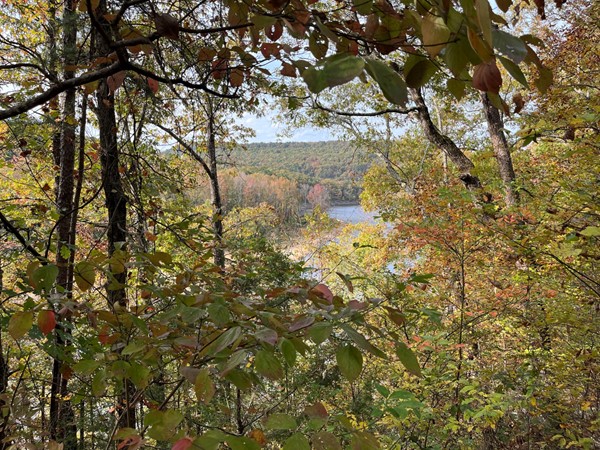 Peeking through the fall foliage at Greers Ferry Lake near Prim, Arkansas