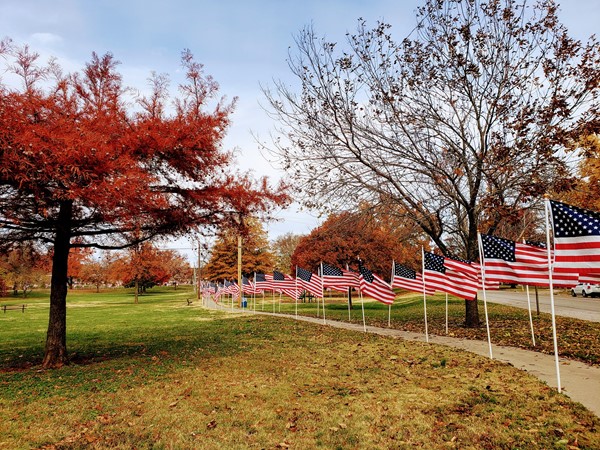 Field of Flags honoring our veterans at the Carnegie Center 