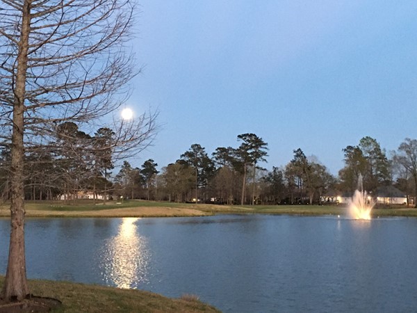Admiring the moon from the lake