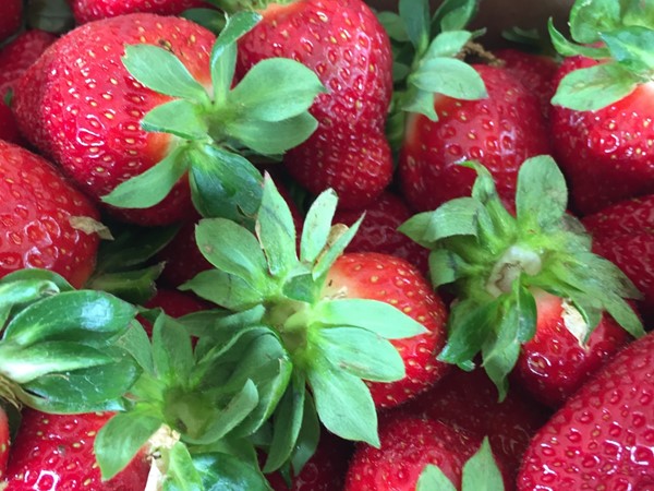 It's that time again! Arkansas strawberries found in Midtown parking lot! Time for shortcake